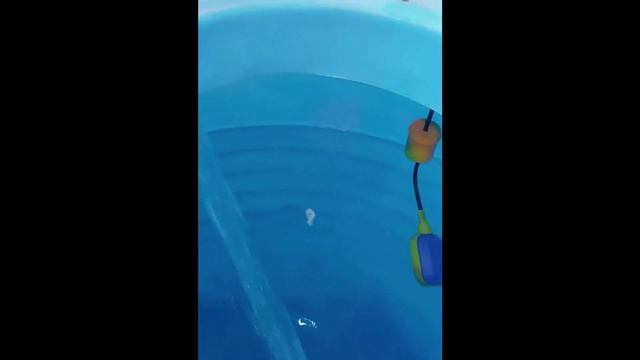 Дистиллятор воды из Казахстана смотреть онлайн
