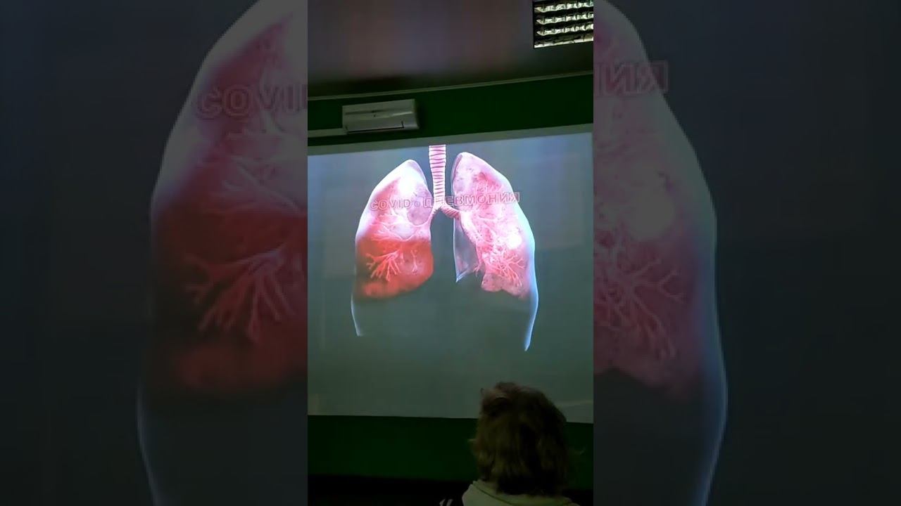 Константин Шумилов ЛЕКЦИЯ 12.2 Дыхательная система. COVID смотреть онлайн