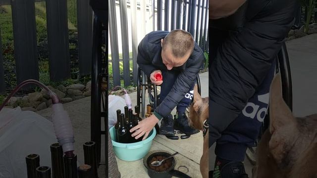 укупорка вина смотреть онлайн