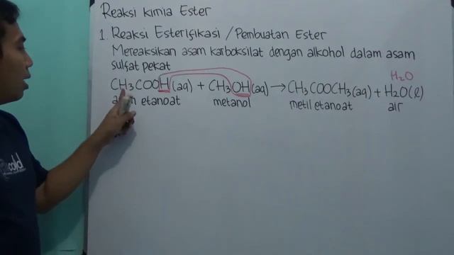 Reaksi Esterifikasi (pembentukan ester) смотреть онлайн
