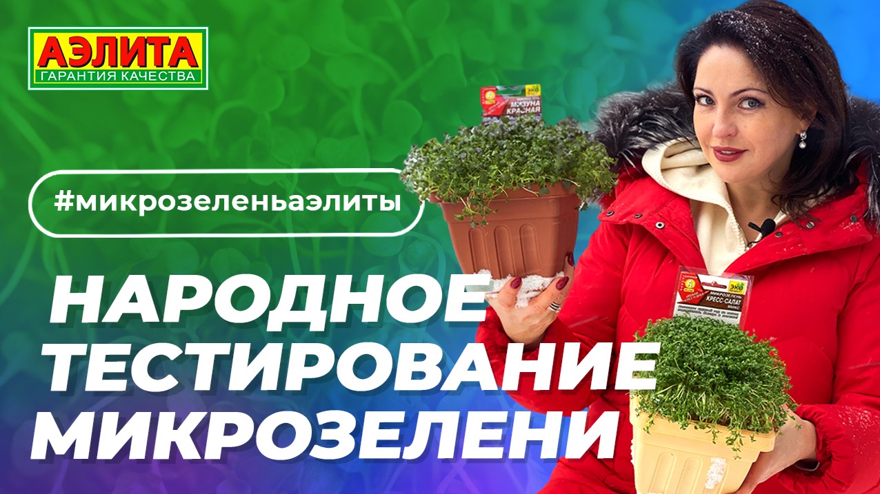 Набор участников в НАРОДНОЕ ТЕСТИРОВАНИЕ МИКРОЗЕЛЕНИ от Агрофирмы АЭЛИТА 🌱🌱🌱 смотреть онлайн