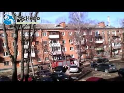 Как спасали кошку смотреть онлайн