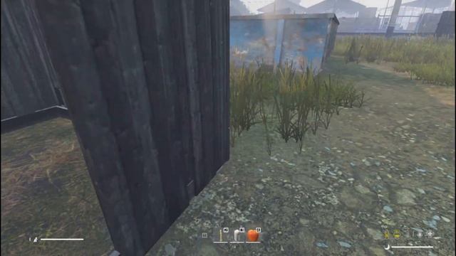 THE XODYCHIE MOLODCI DAYZ WALKDEAD