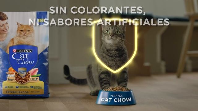 Nuevo Purina Cat Chow, protección para una vida mejor смотреть онлайн