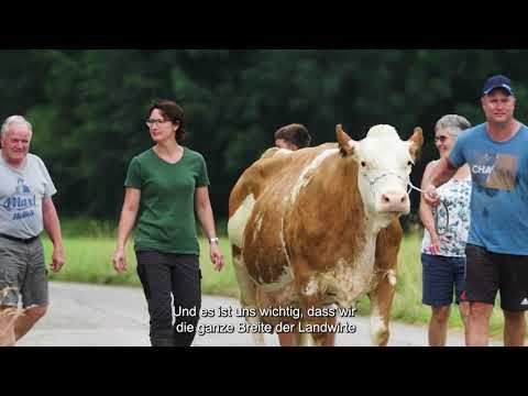 Bayern-Genetik - Perfect Match смотреть онлайн
