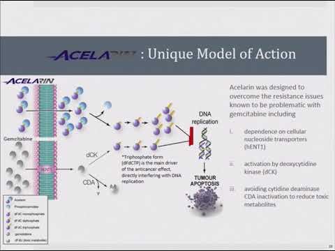2018 Cholangiocarcinoma Foundation Annual Conference #8 - Day 3 - Systemic Therapy for CCA смотреть онлайн