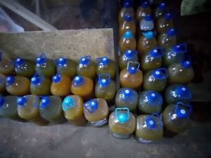 Почвенные микробы и ЭМ бактерии.