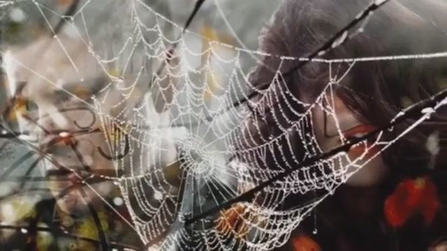 ОСЕНЬ...исп. Валерий Капризов смотреть онлайн