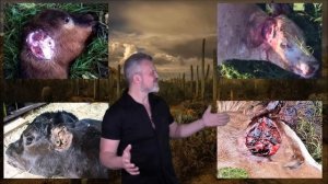 Осторожно, Youtube удалил это за слишком неприятные кадры человеческих мутилаций 39Полицейский JOSEF