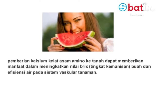 MANFAAT ASAM AMINO BAGI TANAMAN смотреть онлайн