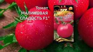 Томат Малиновая сладость F1