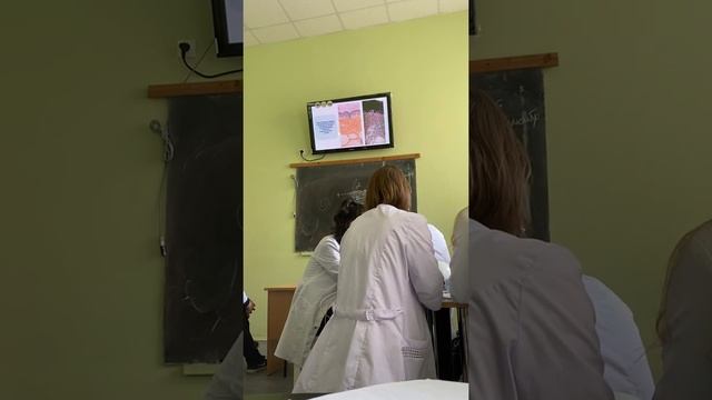 Гистология 19.03.2021 (занятие) смотреть онлайн