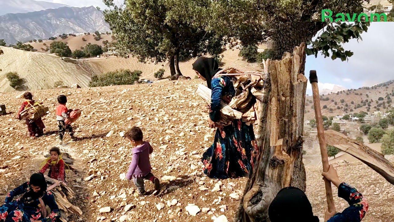 Gathering Firewood In The Mountains: Worrying And Warming Children Without A Biome.