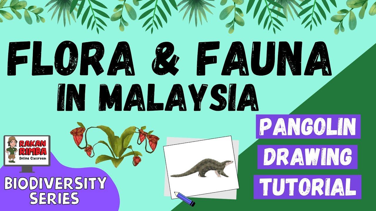 Biodiversity Series: Malaysian Flora & Fauna + Pangolin Drawing Tutorial смотреть онлайн