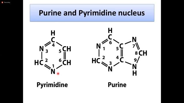 BIOCHEMISTRY: FUNDAMENTAL OF MOLECULAR BIOLOGY & GENETICS; CARD-06/ITEM-01 (LECTURE-01) смотреть онлайн