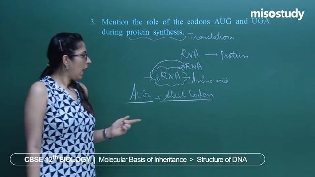 CBSE 11&12th Biology | Structure of DNA | Theory and Problem Solving | In English | Misostudy смотреть онлайн