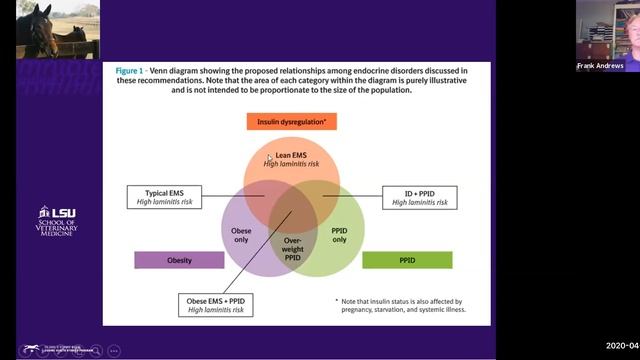 Cushings (PPID) and Metabolic Syndrome in Horses смотреть онлайн