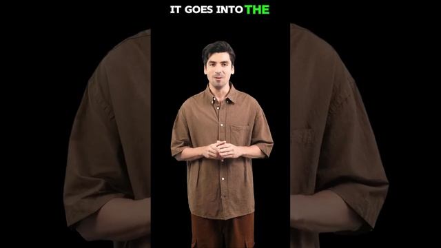 Why Do Birds Eat Stone? #BirdBehavior #AvianDigestion #NatureFacts #BirdWatching #WildlifeEducation смотреть онлайн