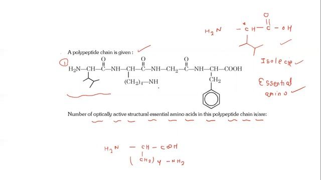 NUMBER OF OPTICALLY ACTIVE ESSENTIAL AMINO ACID смотреть онлайн