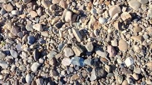 13 07 24 Поиск камней.  Агат или яшма? 🙄