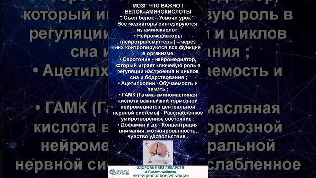 МОЗГ И БЕЛОК. смотреть онлайн