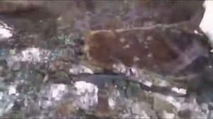 Чамшед Исмоилов Хез Модар Писарат Омадааст