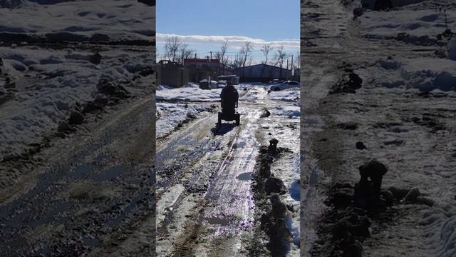 обсервер максимус смотреть онлайн
