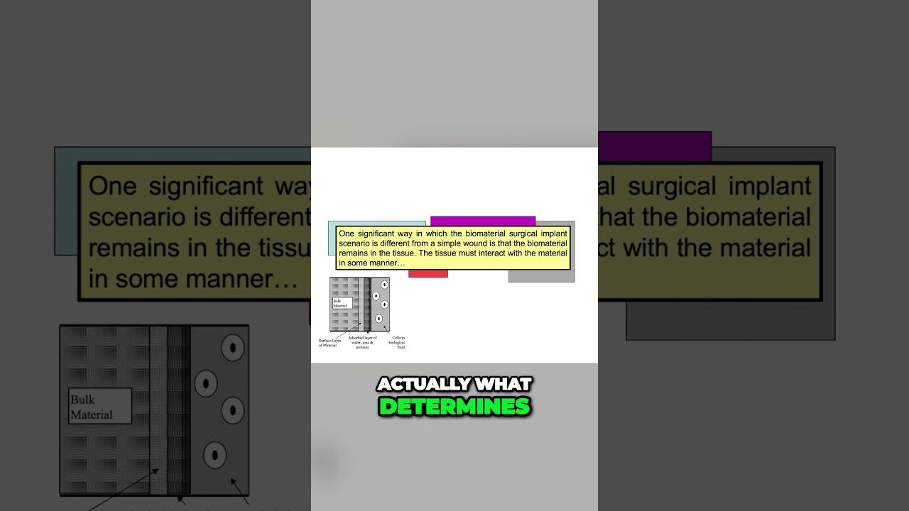 What Happens When You Implant a Material Inside the Human Body? Wound Healing Scenarios, Explained! смотреть онлайн