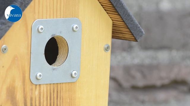 Vivara Nestkast El Paso 34 mm (90763) смотреть онлайн