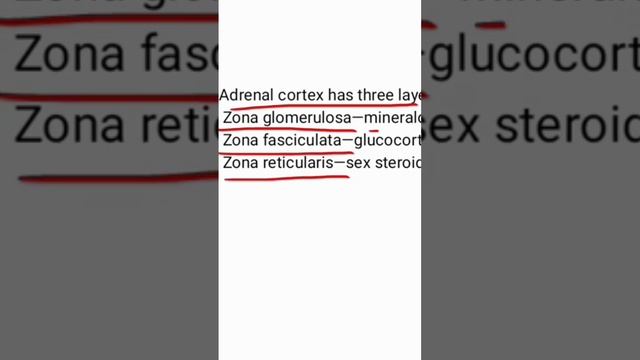 Adrenal cortical layers смотреть онлайн