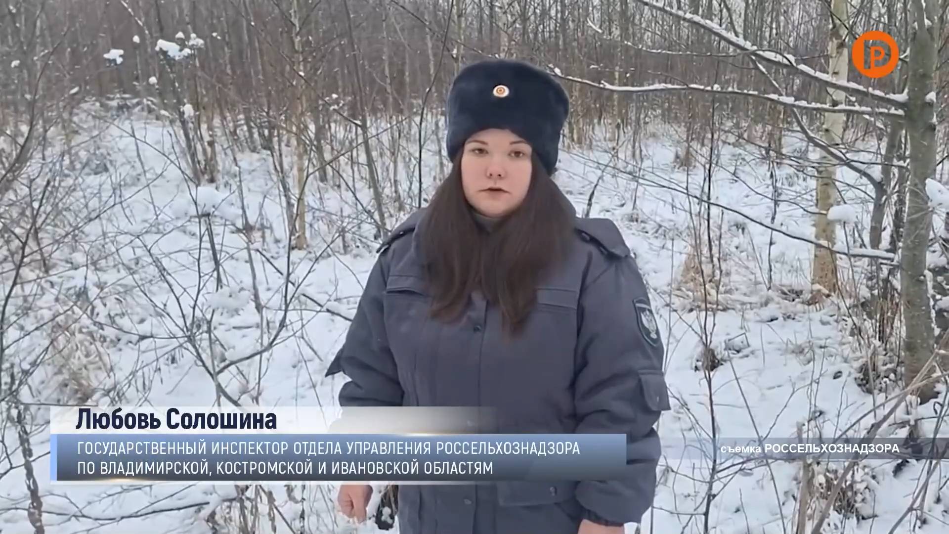 Более 600 нарушений земельного законодательства смотреть онлайн