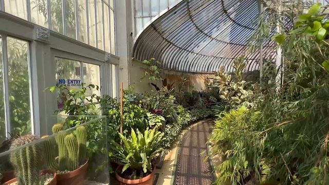 Palm House in Belfast's Botanic Gardens / Northern Ireland смотреть онлайн