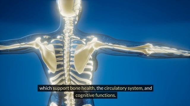 "Top 10 Best Sources of Vitamin A: Deficiencies, Health Benefits, and How to Prevent Them! смотреть онлайн