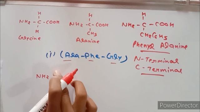 ऐमीनो अम्ल में N तथा C टर्मिनल/Amino Acid Me N And C Terminal/Chemistry Of Proteins/#chemistry смотреть онлайн