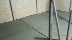 Бетонный пол в сарае для свиней.