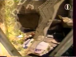 А Невзоров Дикое поле 14 Неизвестный человек