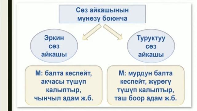 Сөз айкашы 8 класс смотреть онлайн