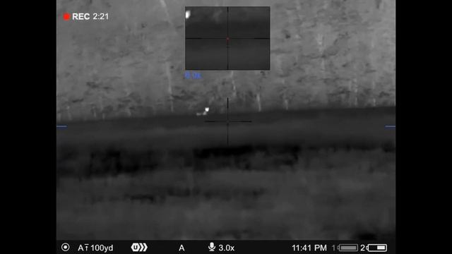 11 Year Old Girl’s First Coyote - Pulsar Thermion 2 XQ50 Pro LRF смотреть онлайн