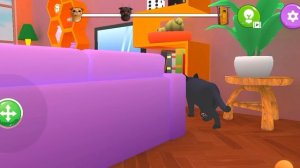 бабка и кот