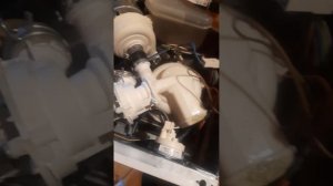 Прочистка камеры прессостата на Посудомойке Indesit IDL 42