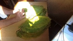 сорт та-ба-ка куманово