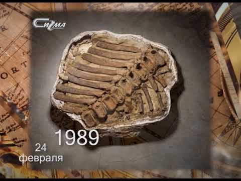 Минуты истории 24 февраля 2018 смотреть онлайн