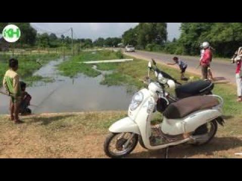 Roh Fische springt heraus den Kanal nach dem Regen-Anschlag смотреть онлайн
