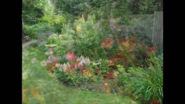 Summer 2016 Horticulture CV (single garden 1) смотреть онлайн