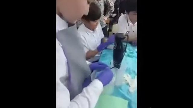 Өсімдіктер систематикасы туралы түсінік Өсімдіктер дүниесі смотреть онлайн