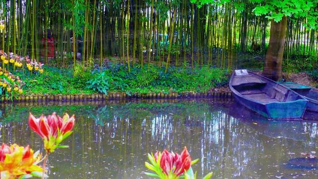 just for anne , mario смотреть онлайн