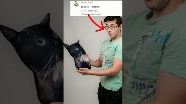 Кирилл плюш попал в Вену? #вена #эплкэт #бананакэт #эльгато #meme #мемы #кириллплюш #блоптоп смотреть онлайн