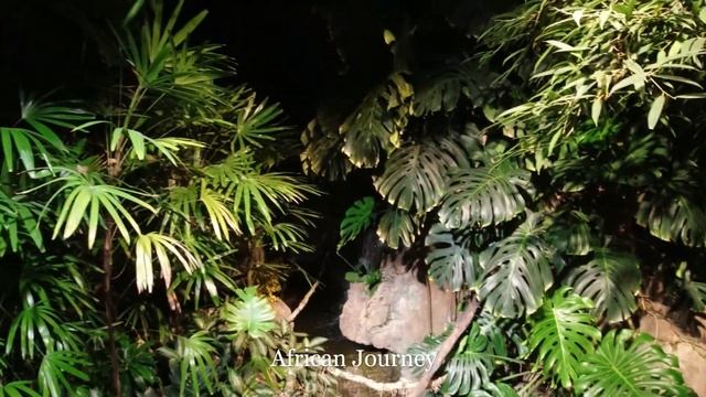 Lincoln Park Zoo Lights Locations 1 смотреть онлайн