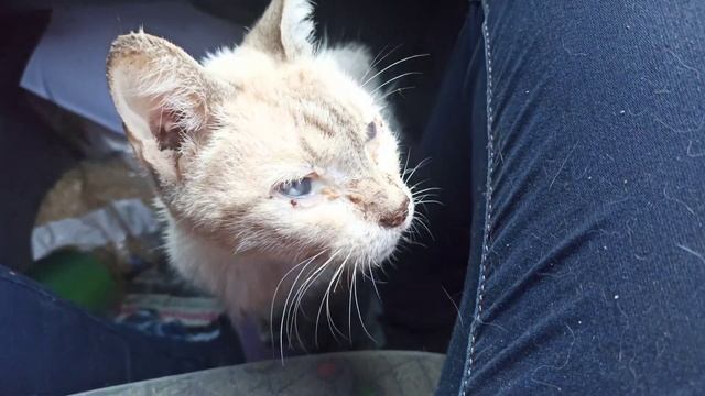 Каспер - доброе приведение смотреть онлайн