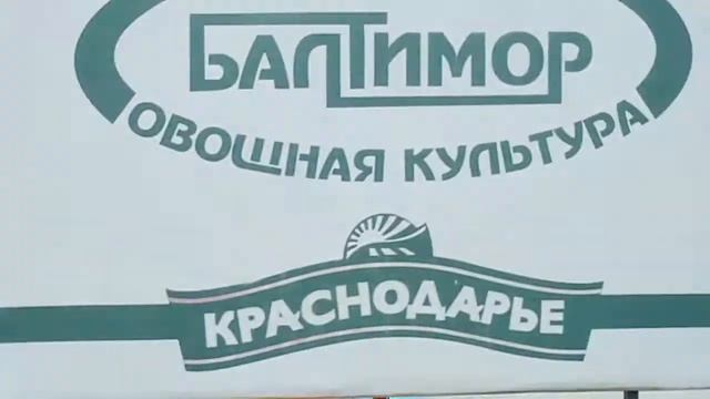 Мне 45 тогда. Шандоры. Требуется до 45 монтажник Ст и ЖБК. Директора тупые(6) смотреть онлайн